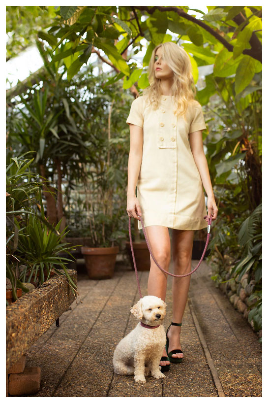 bo-med-hund